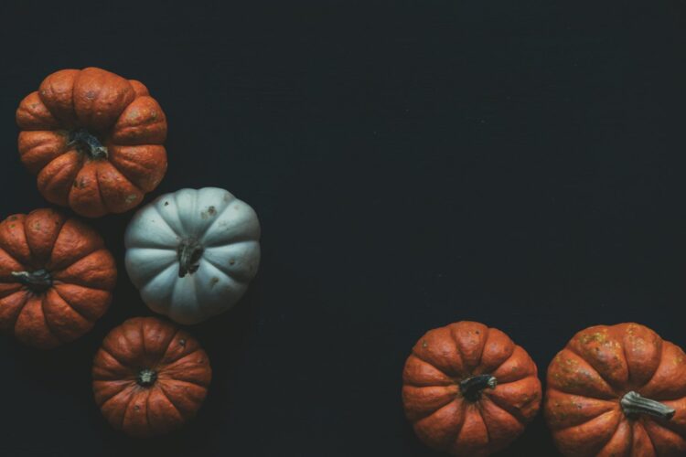 Unsplash | Scott Webb