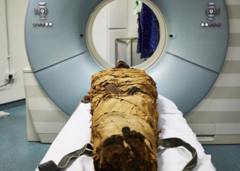 Nature | Leeds Teaching Hospitals/Leeds Museums and Galleries
