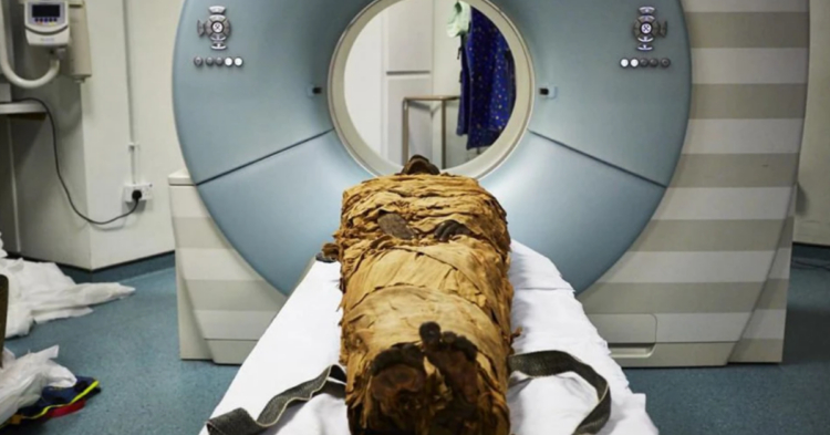 Nature | Leeds Teaching Hospitals/Leeds Museums and Galleries