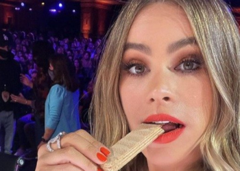 instagram | @sofiavergara