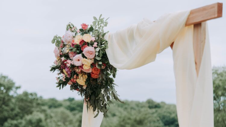 Unsplash | Samantha Gades