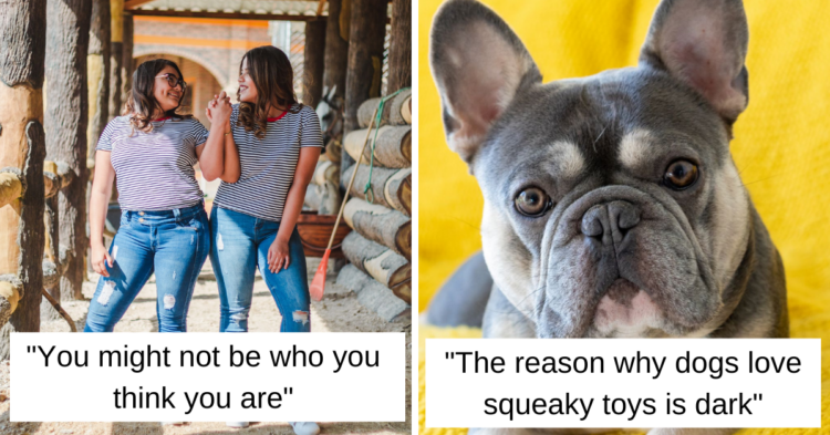 Unsplash
