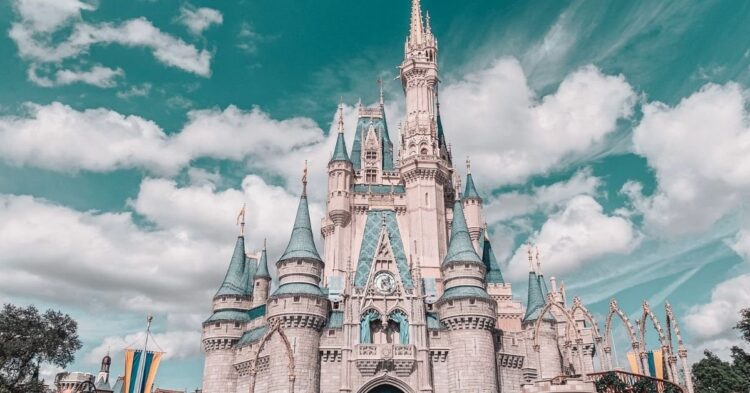 Unsplash | Alyssa Eakin