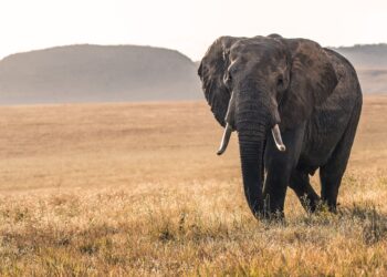 Unsplash | David Clode
