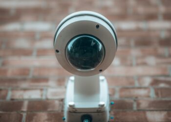 Unsplash | Brock Wegner
