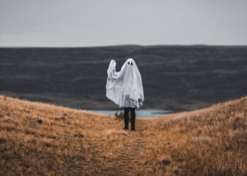Unsplash | Tandem X Visuals