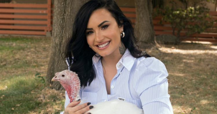 Instagram | @farmsanctuary