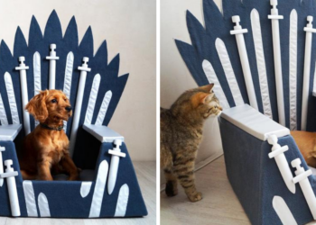 Etsy | MadeForPets