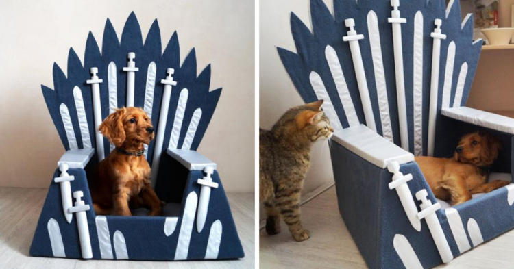 Etsy | MadeForPets