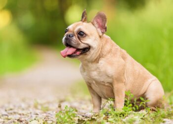 Shutterstock | 1262929
