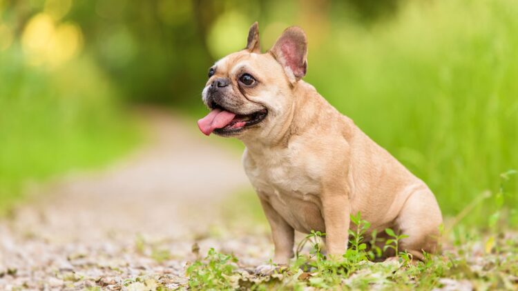 Shutterstock | 1262929