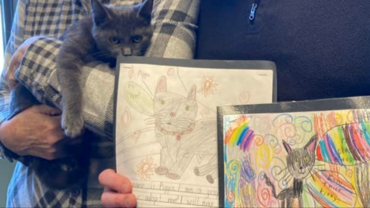 Facebook | Richmond Animal Care and Control
