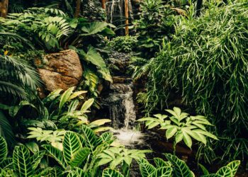 Unsplash | Kyle Cleveland