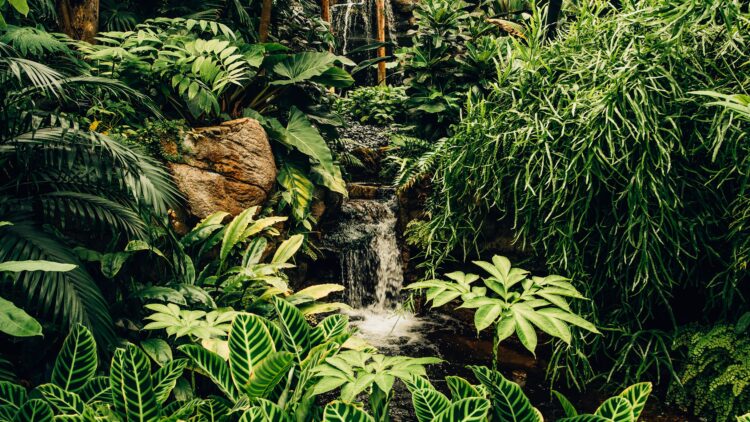 Unsplash | Kyle Cleveland