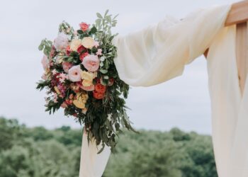Unsplash | Samantha Gades