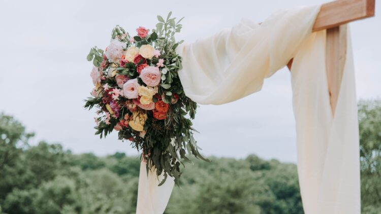 Unsplash | Samantha Gades