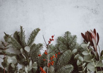 Unsplash