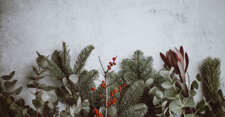 Unsplash
