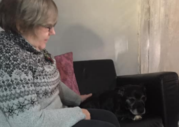 Facebook | The Grey Muzzle Canine Hospice Project
