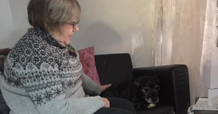 Facebook | The Grey Muzzle Canine Hospice Project