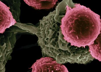 Unsplash | National Cancer Institute