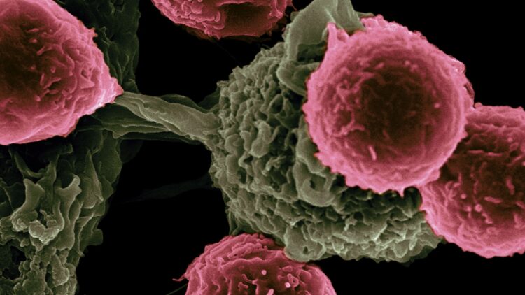 Unsplash | National Cancer Institute