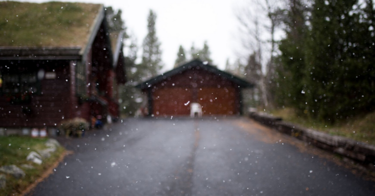 Unsplash | Thomas Griesbeck