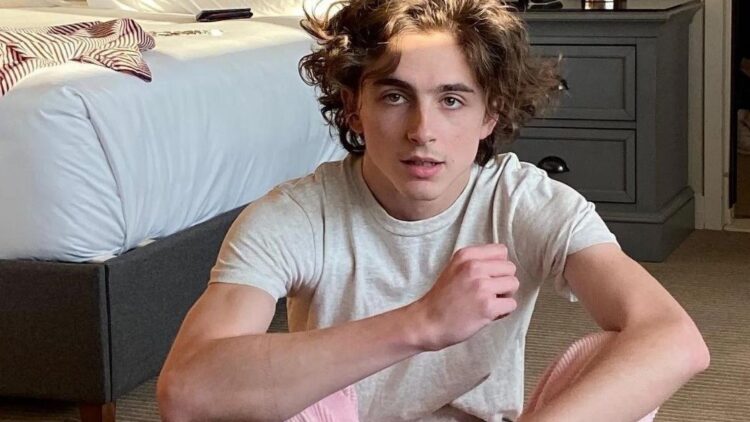 instagram | @tchalamet