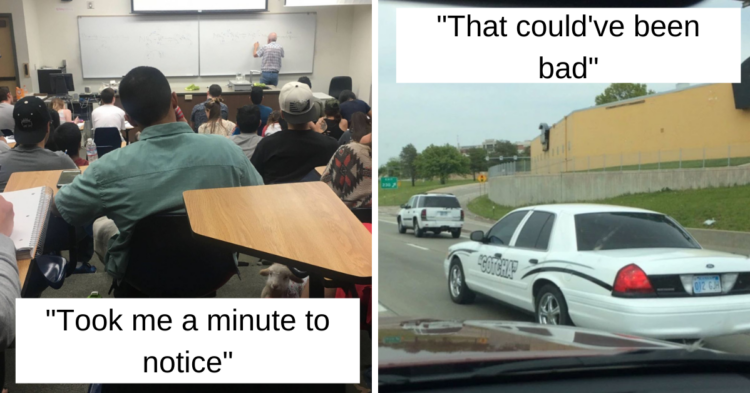 Reddit