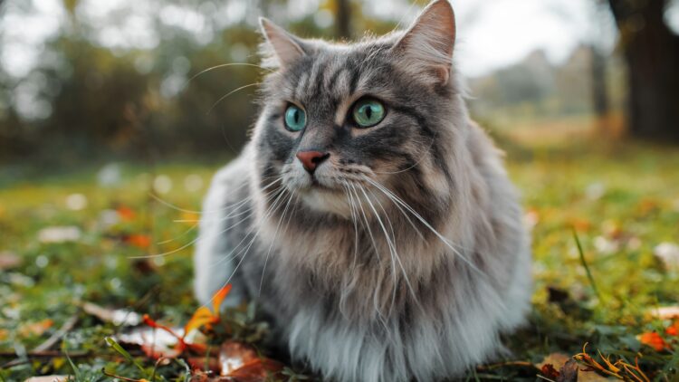 Shutterstock | 3981437