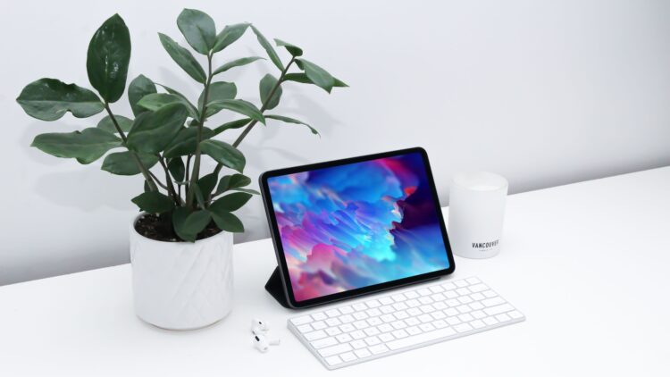 Unsplash | Brandon Romanchuk