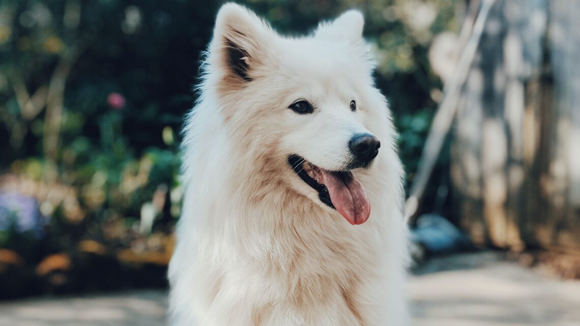 Unsplash | Lui Peng