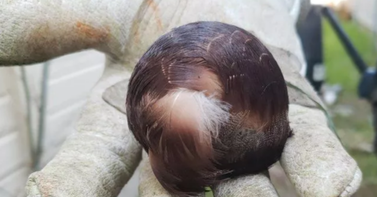 Reddit | Theheadandthefart