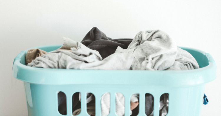 Unsplash | Annie Spratt