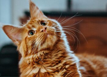 Unsplash | Amber Kipp