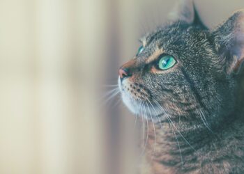 Unsplash | James Sutton