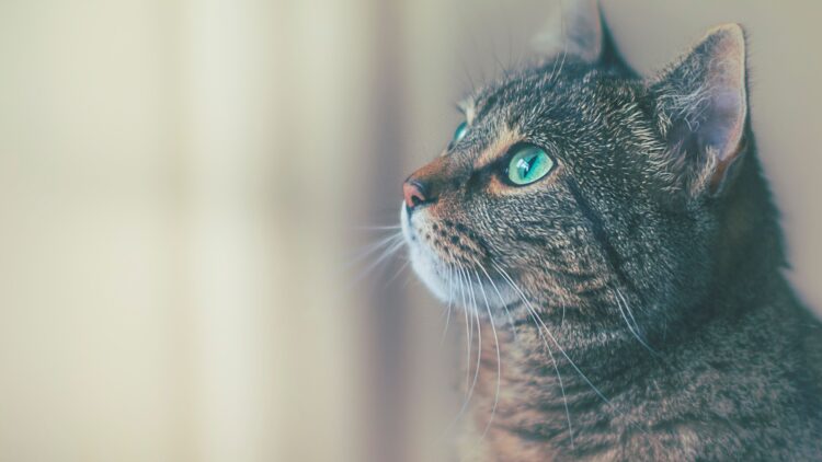 Unsplash | James Sutton