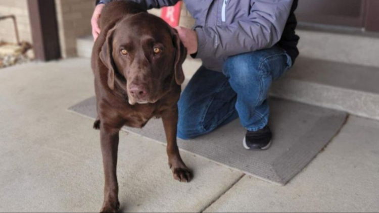 Facebook | Streator AnimalControl