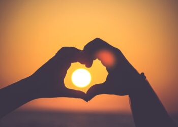 Unsplash | Mayur Gala