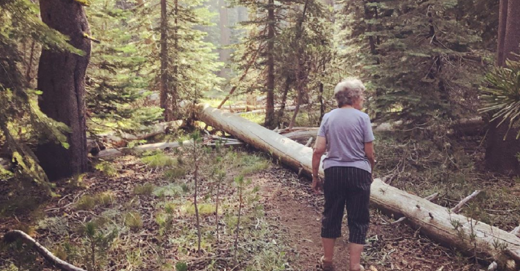 Instagram | @grandmajoysroadtrip