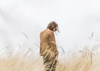 Unsplash | Matthew Henry