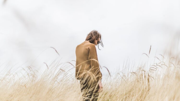 Unsplash | Matthew Henry