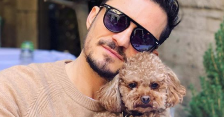 Instagram | @orlandobloom
