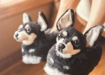 Cuddle Clones