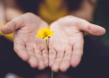 Unsplash | Lina Trochez