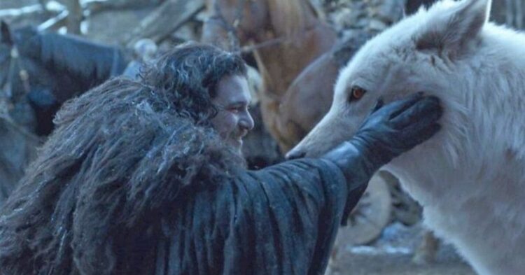 HBO