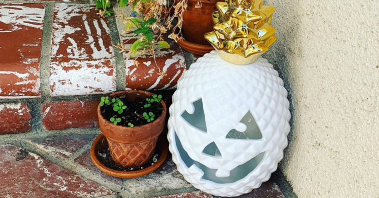 Instagram | @halloween_treasures
