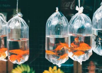 Unsplash | Unsplash