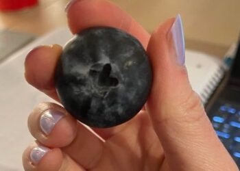 reddit | meadilicious
