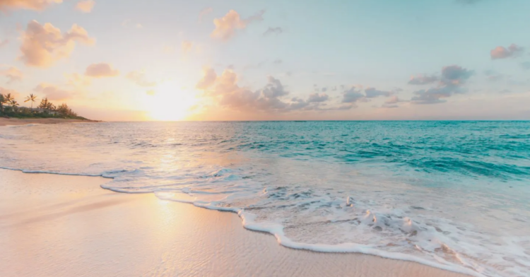 Unsplash